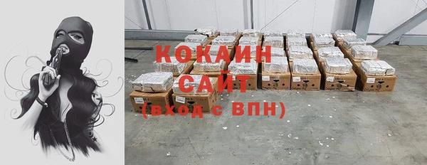 крисы Бронницы