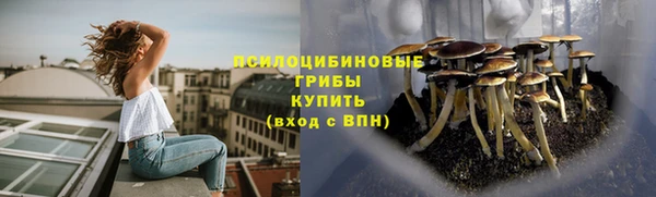 крисы Бронницы