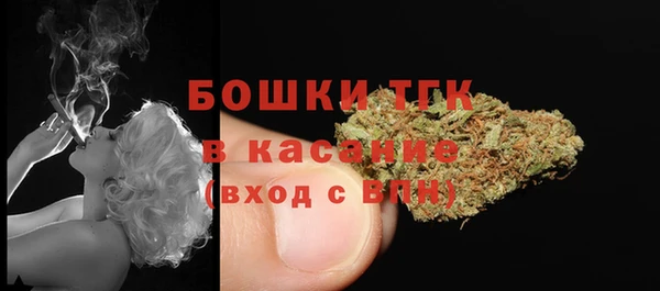 крисы Бронницы