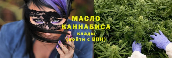 крисы Бронницы