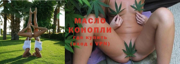 крисы Бронницы
